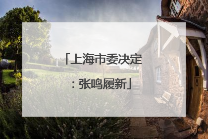 上海市委决定：张鸣履新