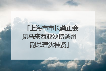 上海市市长龚正会见马来西亚沙捞越州副总理沈桂贤