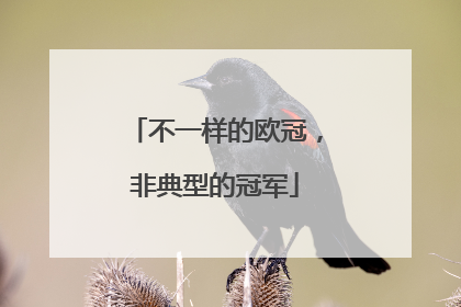 不一样的欧冠，非典型的冠军