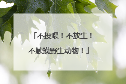 不投喂！不放生！不触摸野生动物！