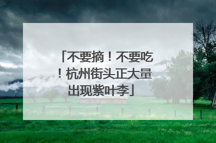 不要摘！不要吃！杭州街头正大量出现紫叶李