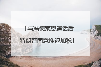 与冯德莱恩通话后 特朗普同意推迟加税