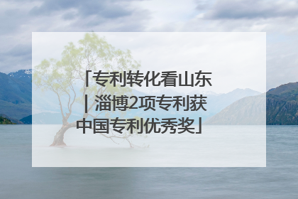 专利转化看山东｜淄博2项专利获中国专利优秀奖
