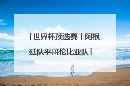 世界杯预选赛丨阿根廷队平哥伦比亚队