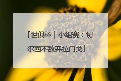 世俱杯｜小组赛：切尔西不敌弗拉门戈