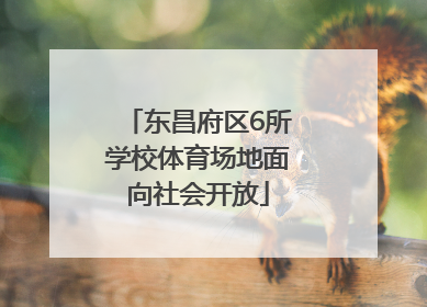 东昌府区6所学校体育场地面向社会开放
