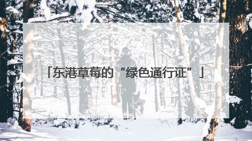 东港草莓的“绿色通行证”