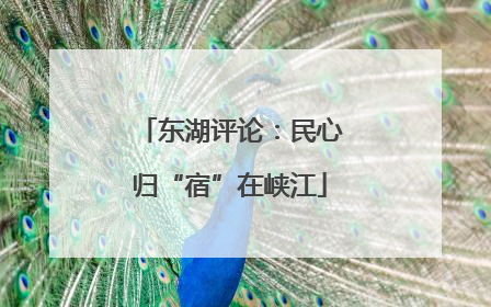 东湖评论：民心归“宿”在峡江