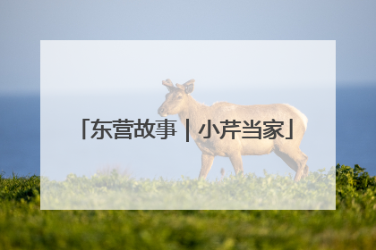 东营故事｜小芹当家