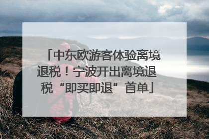 中东欧游客体验离境退税！宁波开出离境退税“即买即退”首单