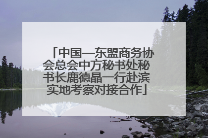 中国—东盟商务协会总会中方秘书处秘书长鹿德晶一行赴滨实地考察对接合作