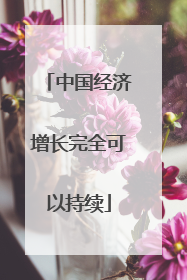 中国经济增长完全可以持续