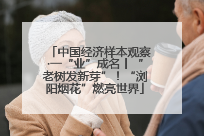 中国经济样本观察·一“业”成名丨“老树发新芽”！“浏阳烟花”燃亮世界