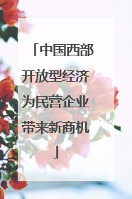 中国西部开放型经济为民营企业带来新商机