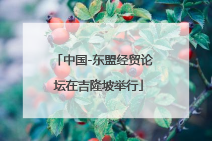 中国-东盟经贸论坛在吉隆坡举行