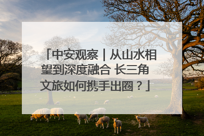 中安观察｜从山水相望到深度融合 长三角文旅如何携手出圈？