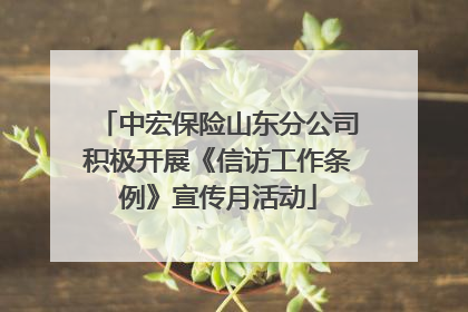 中宏保险山东分公司积极开展《信访工作条例》宣传月活动