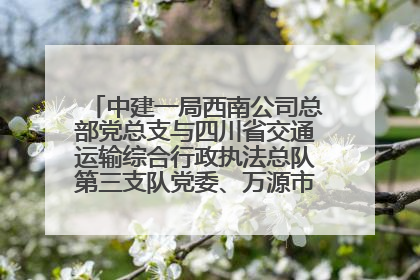 中建一局西南公司总部党总支与四川省交通运输综合行政执法总队第三支队党委、万源市草坝镇莲花院村党支部开展党建联建