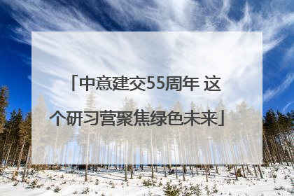 中意建交55周年 这个研习营聚焦绿色未来