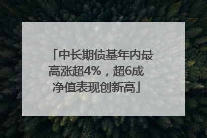 中长期债基年内最高涨超4%，超6成净值表现创新高