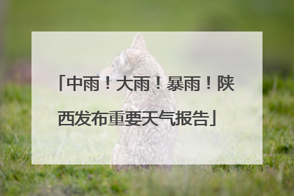 中雨！大雨！暴雨！陕西发布重要天气报告