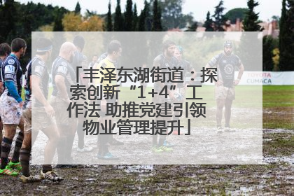 丰泽东湖街道：探索创新“1+4”工作法 助推党建引领物业管理提升