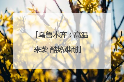 乌鲁木齐：高温来袭 酷热难耐