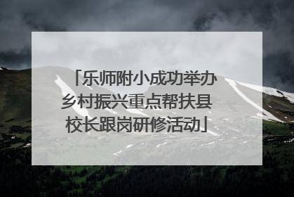 乐师附小成功举办乡村振兴重点帮扶县校长跟岗研修活动