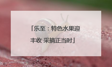 乐至：特色水果迎丰收 采摘正当时