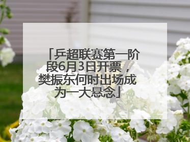 乒超联赛第一阶段6月3日开票，樊振东何时出场成为一大悬念