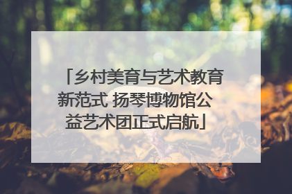 乡村美育与艺术教育新范式 扬琴博物馆公益艺术团正式启航