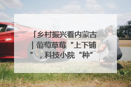 乡村振兴看内蒙古｜葡萄草莓“上下铺”，科技小院“种”出三倍效益