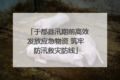 于都县汛期前高效发放应急物资 筑牢防汛救灾防线