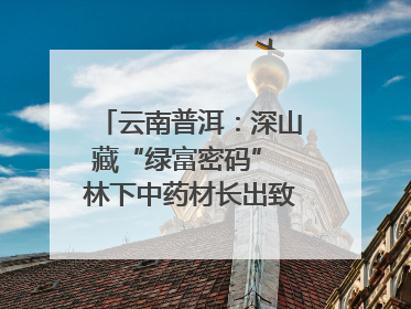 云南普洱：深山藏“绿富密码” 林下中药材长出致富新图景