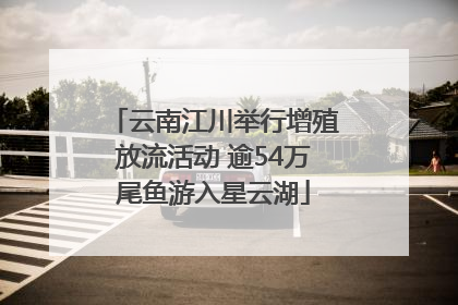 云南江川举行增殖放流活动 逾54万尾鱼游入星云湖