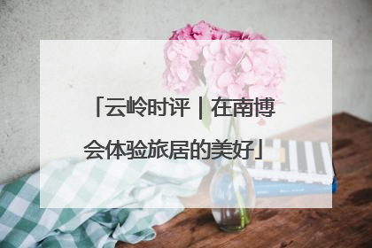 云岭时评｜在南博会体验旅居的美好