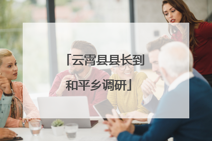 云霄县县长到和平乡调研