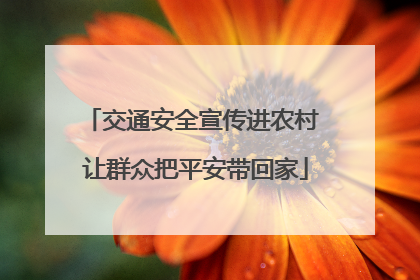 交通安全宣传进农村 让群众把平安带回家
