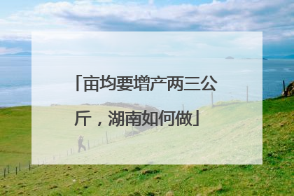 亩均要增产两三公斤，湖南如何做