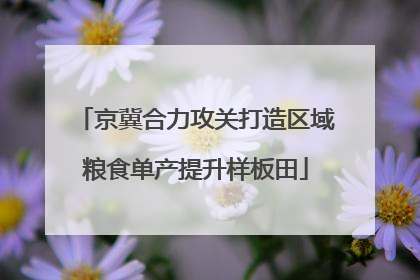 京冀合力攻关打造区域粮食单产提升样板田