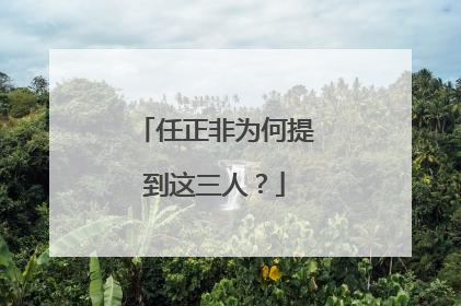 任正非为何提到这三人？