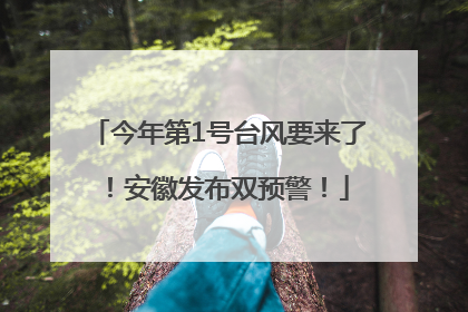 今年第1号台风要来了！安徽发布双预警！