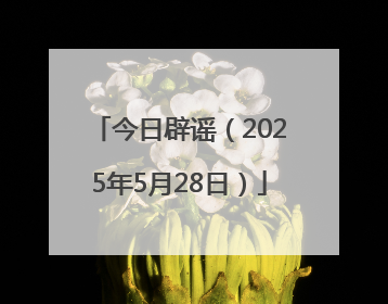 今日辟谣（2025年5月28日）