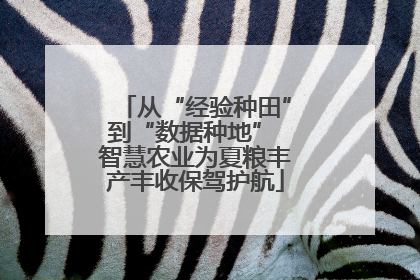 从“经验种田”到“数据种地” 智慧农业为夏粮丰产丰收保驾护航