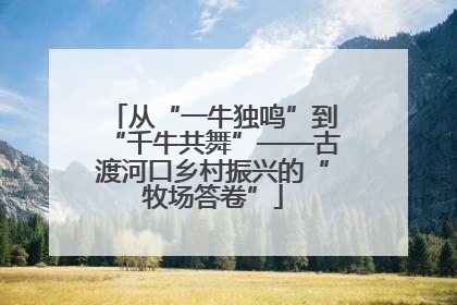 从“一牛独鸣”到“千牛共舞”——古渡河口乡村振兴的“牧场答卷”