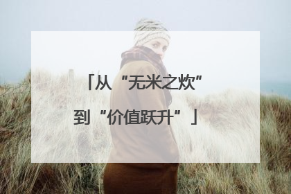 从“无米之炊”到“价值跃升”