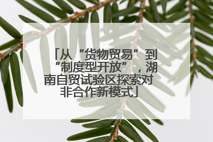 从“货物贸易”到“制度型开放”，湖南自贸试验区探索对非合作新模式
