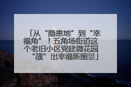 从“隐患地”到“幸福角”！五角场街道这个老旧小区党建微花园“靓”出幸福新图景