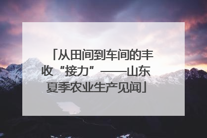 从田间到车间的丰收“接力”——山东夏季农业生产见闻