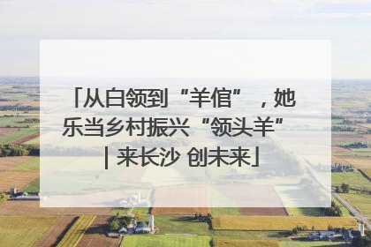 从白领到“羊倌”，她乐当乡村振兴“领头羊”｜来长沙 创未来